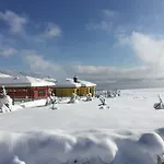 Colori Tsigov Chark