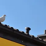 Colori