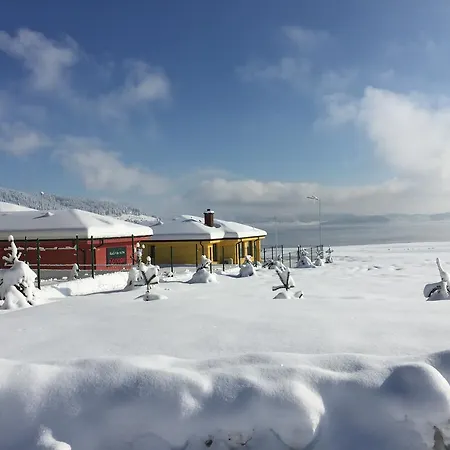 Colori Tsigov Chark