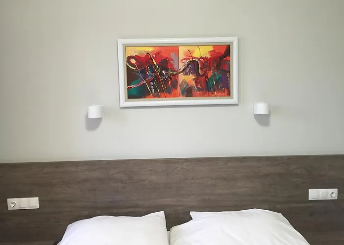 Colori تسيغوف تشارك