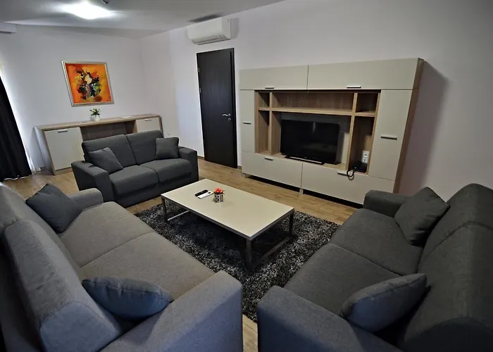 Colori تسيغوف تشارك