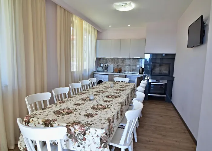 Colori تسيغوف تشارك